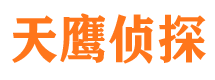 顺城调查事务所